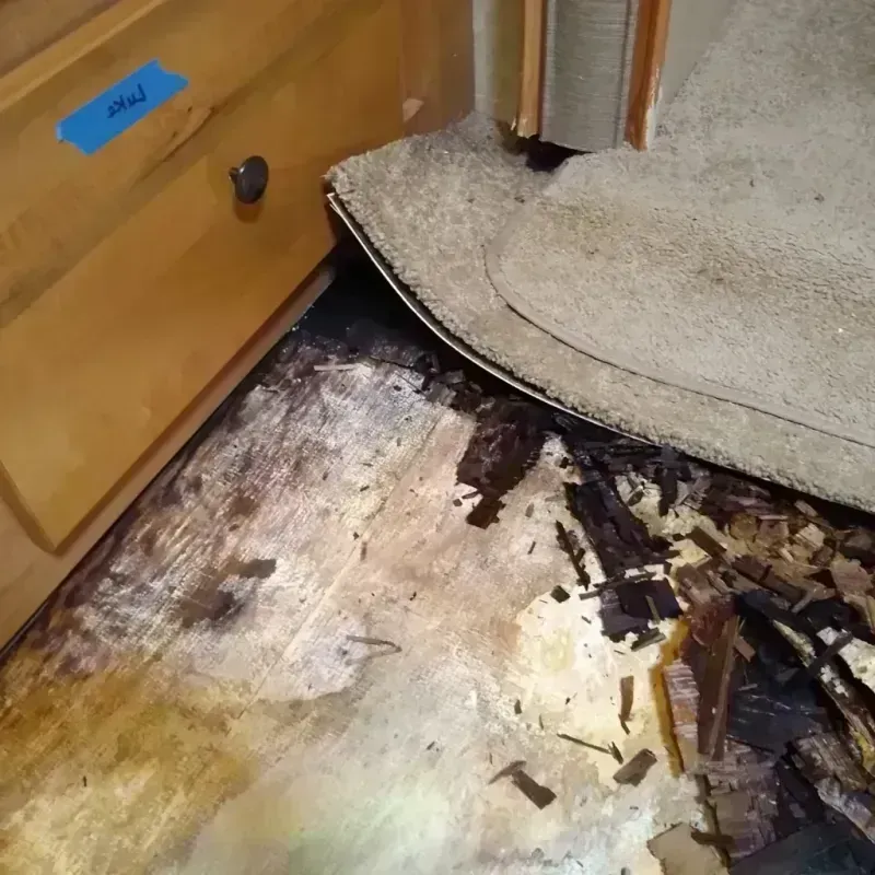 Best Wood Floor Water Damage Service in Floyd County, IA